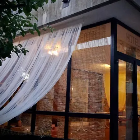 Room In Bb - Hotel Villa Alexandra - Double Room Πανσιόν