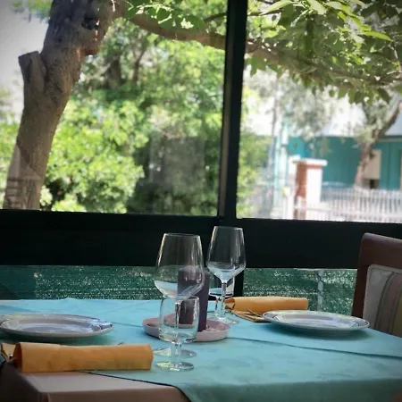 Room In Bb - Hotel Villa Alexandra - Double Room Πανσιόν