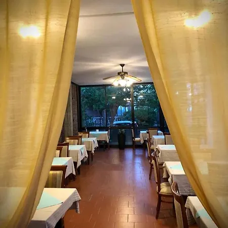 Room in BB - Hotel Villa Alexandra - Double room Pensionat San Mauro Mare